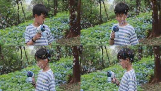 可爱的男孩在花海赏花 唯美升格慢镜高清在线视频素材下载