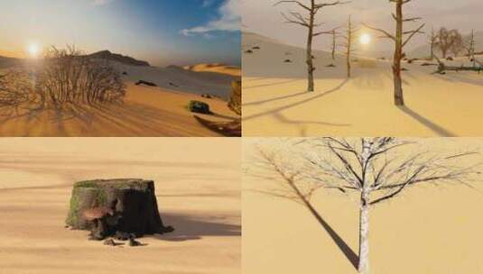 阳光照耀下的干旱沙漠枯树航拍高清在线视频素材下载