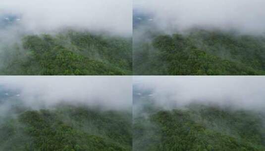 海南保亭黎族自治县热带雨林云海高视角航拍高清在线视频素材下载