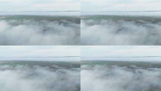 海拉尔河湿地云雾高清在线视频素材下载