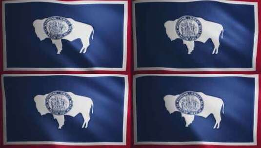 怀俄明州国旗，织物纹理随风移动。挥舞的旗高清在线视频素材下载