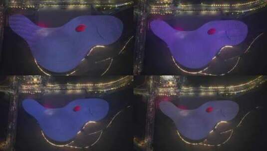 航拍城市地标现代建筑九江文化艺术中心夜景高清在线视频素材下载