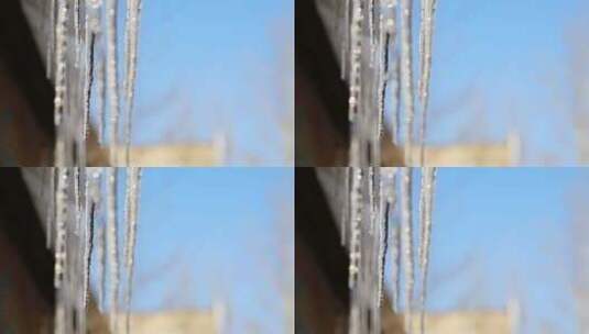 春天融化冰柱高清在线视频素材下载