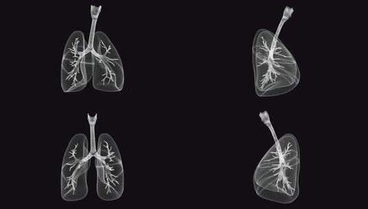肺全息图高清在线视频素材下载