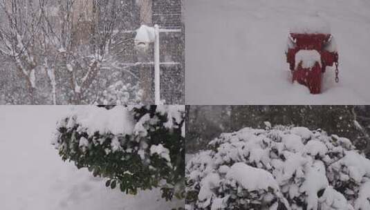 冬季大雪冬天下雪雪花飘落自然写意实拍高清在线视频素材下载