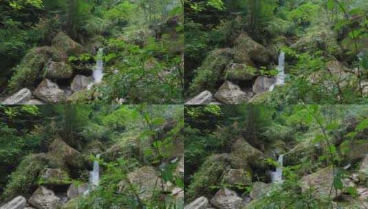 成都青城山后山峡谷森林步道溪流自然景观高清在线视频素材下载