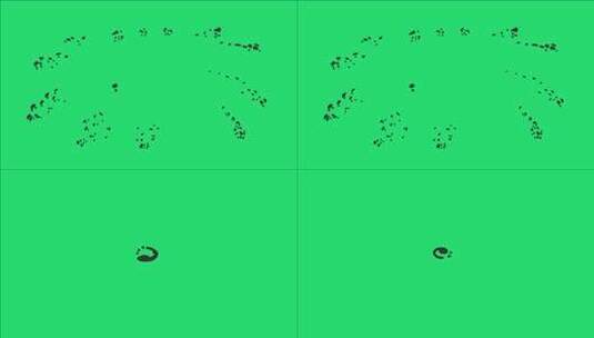 动画黑色烟花效果在绿屏上散射高清在线视频素材下载