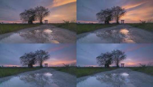 日落时的野外风景高清在线视频素材下载