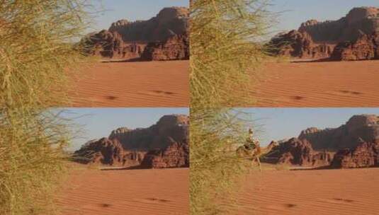 骑着骆驼在沙漠里走的人高清在线视频素材下载