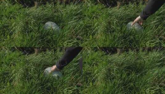 运动员把橄榄球从高草上移走的中镜头高清在线视频素材下载