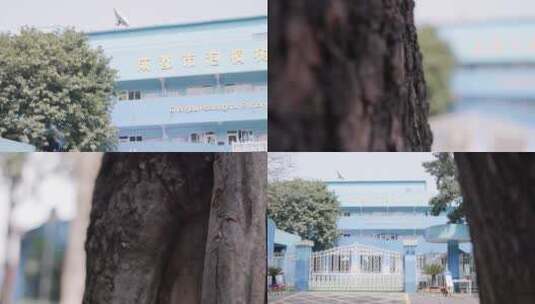 成都市泡桐树小学 墙体手绘插画 4k实拍高清在线视频素材下载