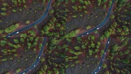 从空中俯瞰穿过树林的道路上的交通高清在线视频素材下载