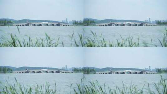 湖北武汉东湖落雁景区高清在线视频素材下载