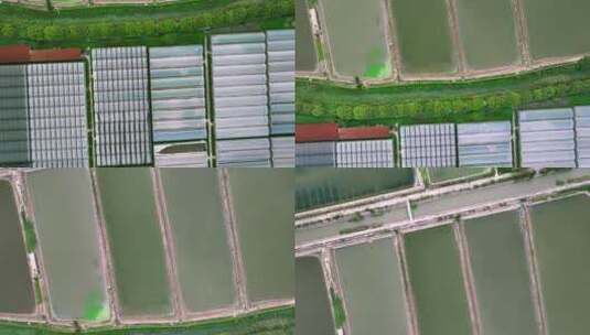 新农村蔬菜大棚养殖塘航拍高清在线视频素材下载
