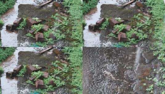 屋檐下古建筑破败雨水下雨滴水雨季青苔砖瓦高清在线视频素材下载