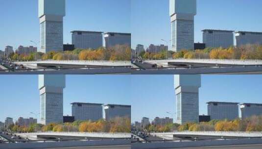 北京高楼建筑秋天秋景高清在线视频素材下载