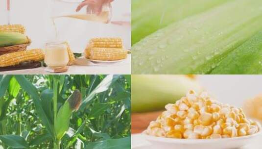 水果玉米高清在线视频素材下载