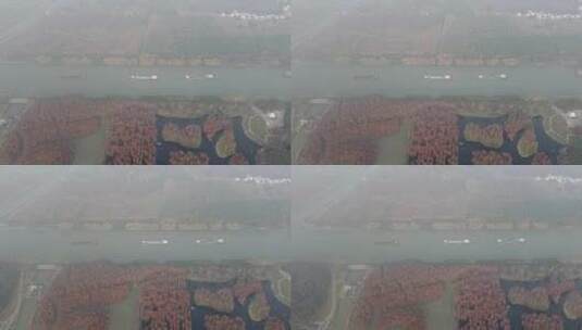 上海青西郊野公园水上森林高清在线视频素材下载