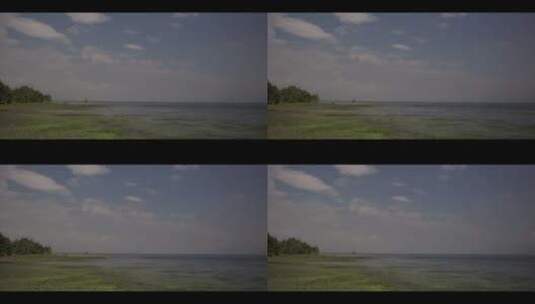 阳光蓝天白云大理洱海岸边湖水草地高清在线视频素材下载