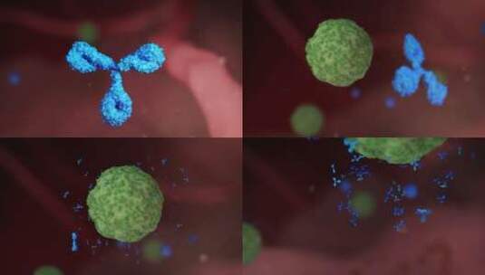 有害病毒细胞颗粒扩散入侵免疫系统三维动画高清在线视频素材下载