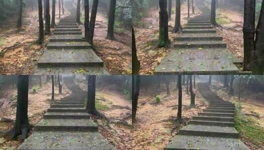 下雨登山深山爬楼梯高清在线视频素材下载