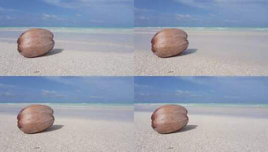 沙滩上的椰子高清在线视频素材下载
