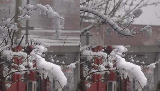 下雪时挂着厚厚积雪的树枝6高清在线视频素材下载