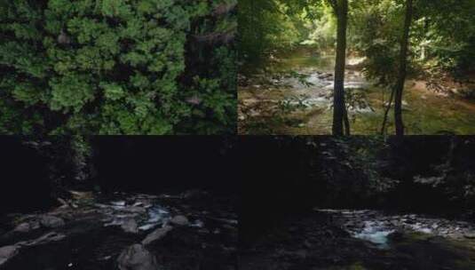 森林小溪河流森林山间溪流小溪无人机航拍高清在线视频素材下载