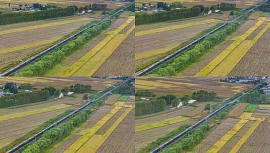 火车驶过田野高清在线视频素材下载