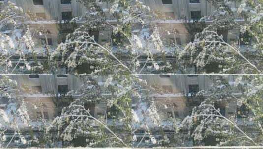 雪冬季自然结晶4K高清在线视频素材下载