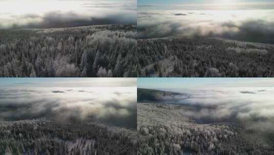 航拍山顶冬季云海森林雪松雾凇绝美自然风景高清在线视频素材下载