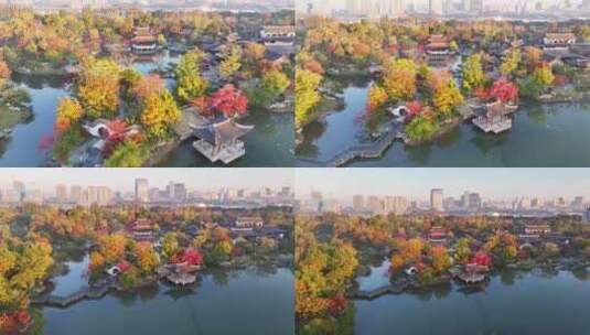 申园上海秋天园林世博文化公园高清在线视频素材下载