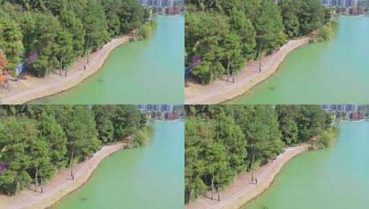 4k航拍城市湿地公园高清在线视频素材下载