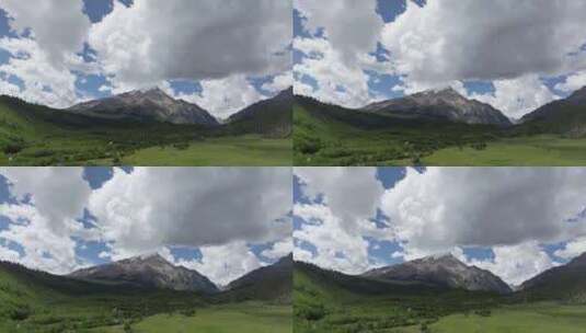 新疆伊犁恰西草原森林风光高清在线视频素材下载