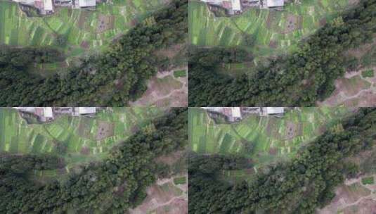 4k无人机航拍自然风光 俯拍鸟瞰森林房屋高清在线视频素材下载