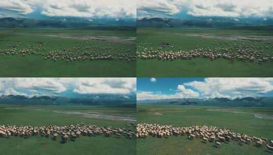 新疆天山草原高清在线视频素材下载