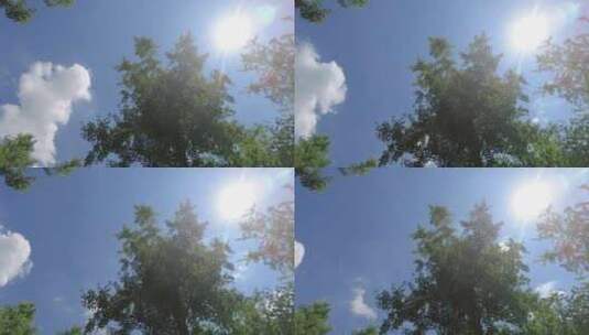 树林蓝天白云阳光延时摄影高清在线视频素材下载