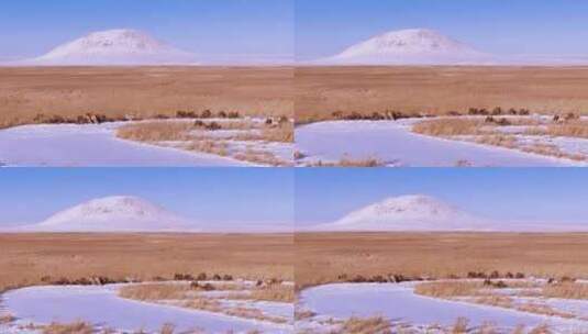 航拍冬天西博山下的骆驼高清在线视频素材下载