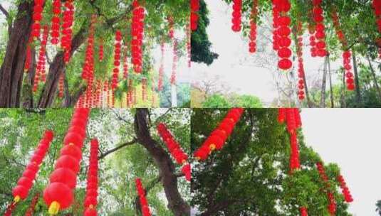 春节素材 南方年味过年树上挂满红灯笼高清在线视频素材下载
