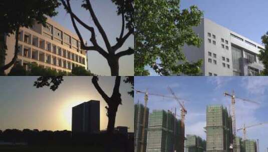 阳光下的大学校园建筑蚌树木剪影高清在线视频素材下载