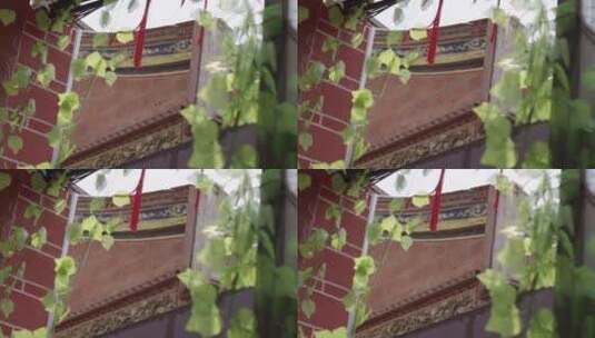 蟳埔地标建筑寺庙空镜绿植前景高清在线视频素材下载