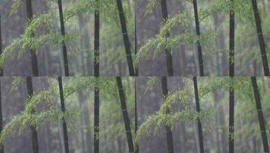 下雨天竹林竹叶唯美意境禅意空镜升格高清在线视频素材下载