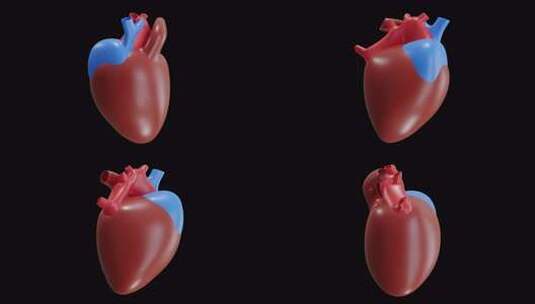 心脏 3d 动画高清在线视频素材下载