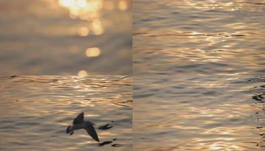 水面金色光斑散景效果高清在线视频素材下载