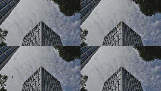 夏日城市大厦和云层（有前景树叶高清在线视频素材下载