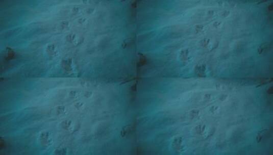 夜间雪地动物脚印高清在线视频素材下载