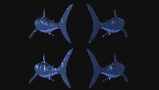 影视级三维鲨鱼水底动画合成特效 (1)高清在线视频素材下载
