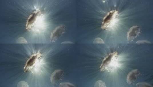 海洋里的水母高清在线视频素材下载