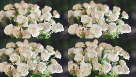 白粉色的花朵高清在线视频素材下载