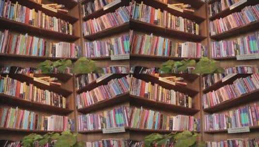 图书馆书柜书籍藏书图书高清在线视频素材下载
